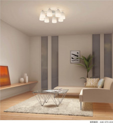 KOIZUMI LED�����ǥꥢ AAE670225 �̿�2