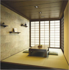 KOIZUMI ADN550445 �̿�1