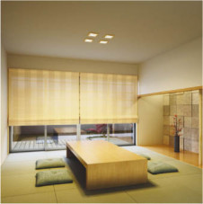 KOIZUMI ADN550465 �̿�1