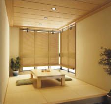 KOIZUMI ADN650643 �̿�1