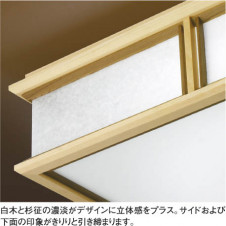 KOIZUMI AHN600128 ̿1