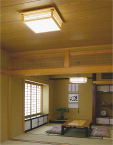 KOIZUMI AHN636364 �̿�2