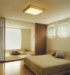 KOIZUMI AHN636376 �̿�4