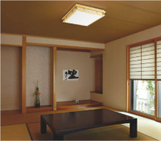 KOIZUMI AHN636413 �̿�1