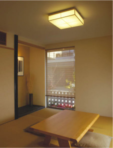 KOIZUMI AHN636495 �̿�1