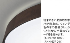 KOIZUMI AHN637039 �̿�1