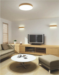 KOIZUMI AHN637050 �̿�2