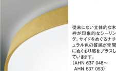 KOIZUMI AHN637053 �̿�1