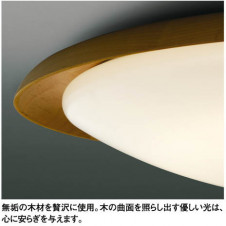 KOIZUMI �ָ���������� AHN638019 �̿�1