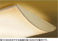 KOIZUMI �����ָ���������� AHN638030 �̿�1