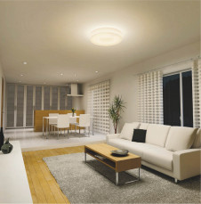 KOIZUMI �ָ���������� AHN638068 �̿�2