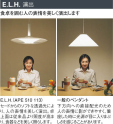 KOIZUMI APE510113 �̿�3