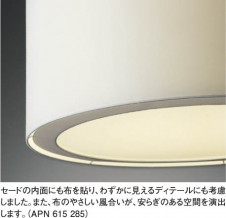 KOIZUMI APN615285 �̿�2