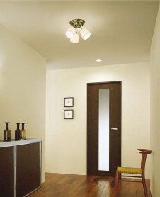 DAIKO DCH-34337 �̿�1