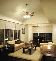 DAIKO��DST-53447 �̿�1