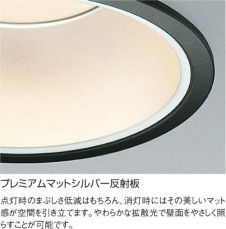 KOIZUMI LED�ⵤ̩������饤�� AD35244L