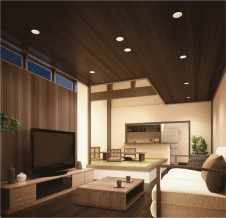 KOIZUMI LED�ⵤ̩������饤�� AD35244L