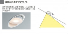 KOIZUMI LED��˥С����������饤�� AD35286L