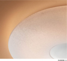 KOIZUMI LED����������� AH35416L