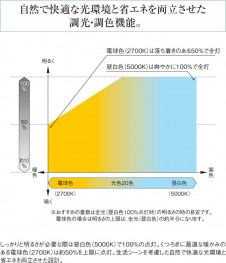 KOIZUMI LED������� AH36065L
