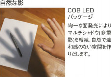 KOIZUMI LED���ݥåȥ饤�ȡʥץ饰�� AS35140L