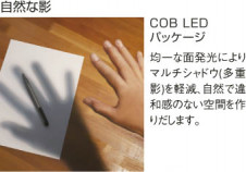 KOIZUMI LED���ݥåȥ饤�ȡʥե�󥸡� AS35156L