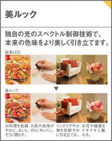 Panasonic LED֥饱å LGB81616LE1 ̿3