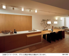 Panasonic ������� HEA1000E �̿�2