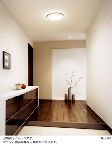 Panasonic ������� HEA1021CE �̿�1