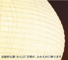 Panasonic �ڥ����� �������� HEM2037KCE �̿�1