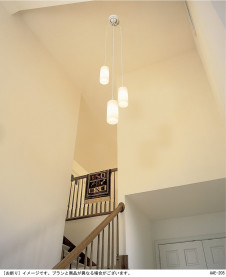 Panasonic �����ǥꥢ HEM3060ZCE �̿�1