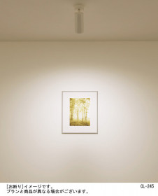 Panasonic ���ݥåȥ饤�� HEW1077E �̿�1