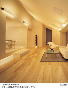 Panasonic �֥饱�å� HFW3270E �̿�1