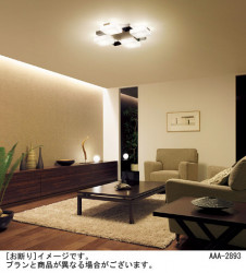 Panasonic ���ܾ��� HGA4920E �̿�1