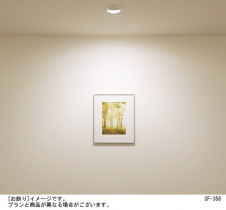 Panasonic ������饤�� LB74396Z �̿�2