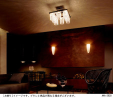 Panasonic LED �����ǥꥢ LGB19999LE1 �̿�1