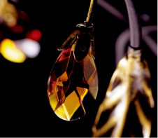 PANASONIC��LT54346 �̿�2