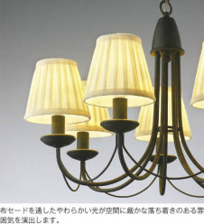 �������߾��� KOIZUMI LED�����ǥꥢ AA40025L ��ħ�̿�