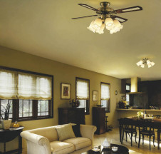 �������߾��� KOIZUMI ŷ�������� AA40380L �ܹ���̿�