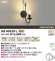 �������߾��� KOIZUMI LED�֥饱�å� AB40029L ���β���