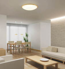 �������߾��� KOIZUMI LED������� AH40826L �ܹ���̿�