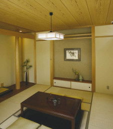 �������߾��� KOIZUMI LED�����ڥ����� AP40556L �ܹ���̿�