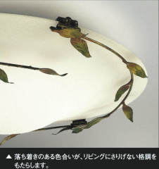 �������߾��� KOIZUMI �����֥饱�å� ABN646072 ��ħ�̿�