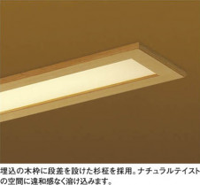 �������߾��� KOIZUMI �ָ��������� ADN550694 ��ħ�̿�