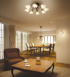 �������߾��� KOIZUMI ����ॷ���ǥꥢ AAN685089 �ܹ���̿�