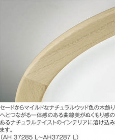 �������߾��� KOIZUMI LED������� AH37287L ��ħ�̿�