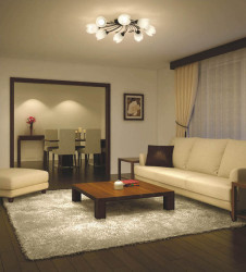 �������߾��� KOIZUMI ����ॷ���ǥꥢ AAN685108 �ܹ���̿�