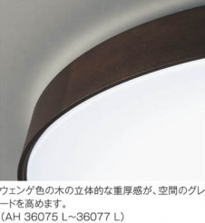 �������߾��� KOIZUMI LED������� AH36075L ��ħ�̿�