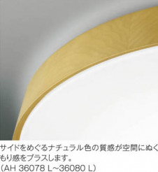 �������߾��� KOIZUMI LED������� AH36079L ��ħ�̿�