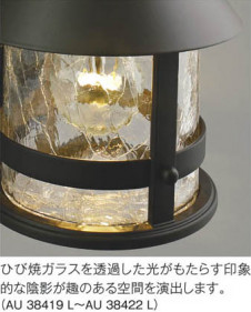 �������߾��� KOIZUMI LED�ɱ����֥饱�å� AU38420L ��ħ�̿�